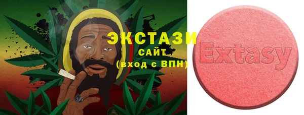 хмурый Алексин