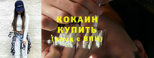 хмурый Алексин