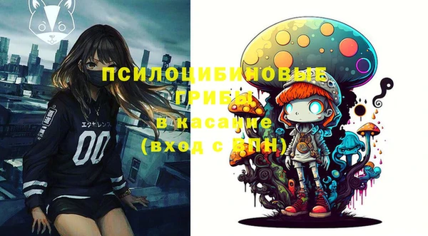 хмурый Алексин