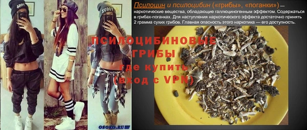 apvp Магас