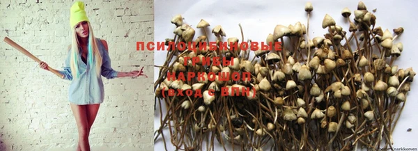 бошки Алексеевка